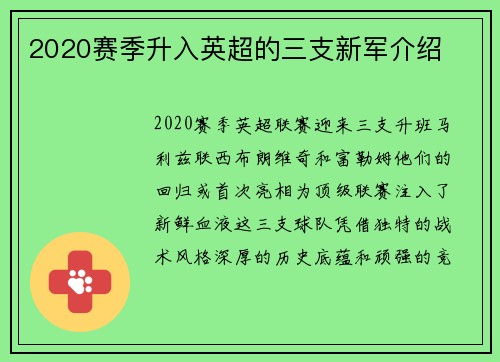 2020赛季升入英超的三支新军介绍