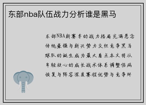东部nba队伍战力分析谁是黑马