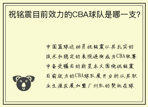祝铭震目前效力的CBA球队是哪一支？