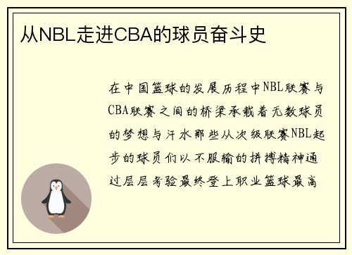 从NBL走进CBA的球员奋斗史